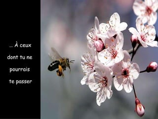 … À ceux

dont tu ne

 pourrais

te passer
 