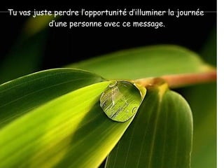 Tu vas juste perdre l’opportunité d’illuminer la journée
           d’une personne avec ce message.
 