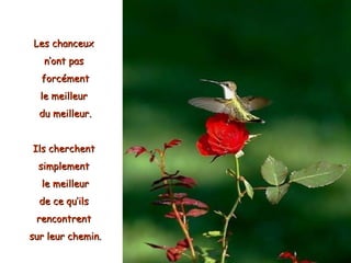 Les chanceux
   n’ont pas
  forcément
  le meilleur
  du meilleur.


Ils cherchent
  simplement
  le meilleur
  de ce qu’ils
 rencontrent
sur leur chemin.
 