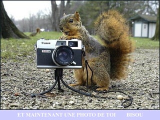 ET MAINTENANT UNE PHOTO DE TOI   BISOU
 