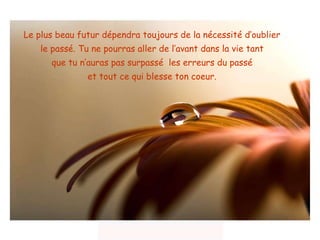 Le plus beau futur dépendra toujours de la nécessité d’oublier  le passé. Tu ne pourras aller de l’avant dans la vie tant  que tu n’auras pas surpassé  les erreurs du passé  et tout ce qui blesse ton coeur.  