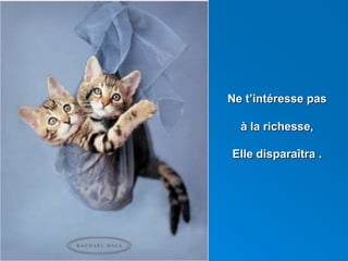 Ne t’intéresse pas
à la richesse,
Elle disparaîtra .
 
