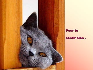 Pour te
sentir bien .
 