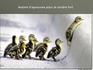 Autant d’épreuves pour te rendre fort .
 