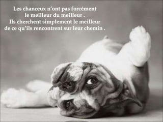 Les chanceux n’ont pas forcément
le meilleur du meilleur .
Ils cherchent simplement le meilleur
de ce qu’ils rencontrent sur leur chemin .
 