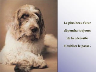 Le plus beau futur
dépendra toujours
de la nécessité
d’oublier le passé .
 