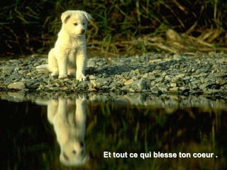 Et tout ce qui blesse ton coeur .
 