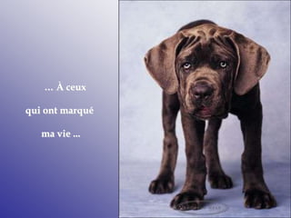 … À ceux
qui ont marqué
ma vie ...
 