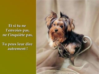 Et si tu ne
l’envoies pas,
ne t’inquiète pas,
Tu peux leur dire
autrement !
 