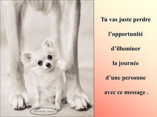 Tu vas juste perdre
l’opportunité
d’illuminer
la journée
d’une personne
avec ce message .
 