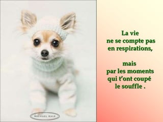 La vie
ne se compte pas
en respirations,
mais
par les moments
qui t’ont coupé
le souffle .
 