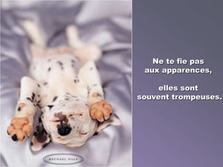 Ne te fie pas
aux apparences,
elles sont
souvent trompeuses.
 