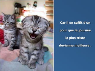 Car il en suffit d’un
pour que la journée
la plus triste
devienne meilleure .
 