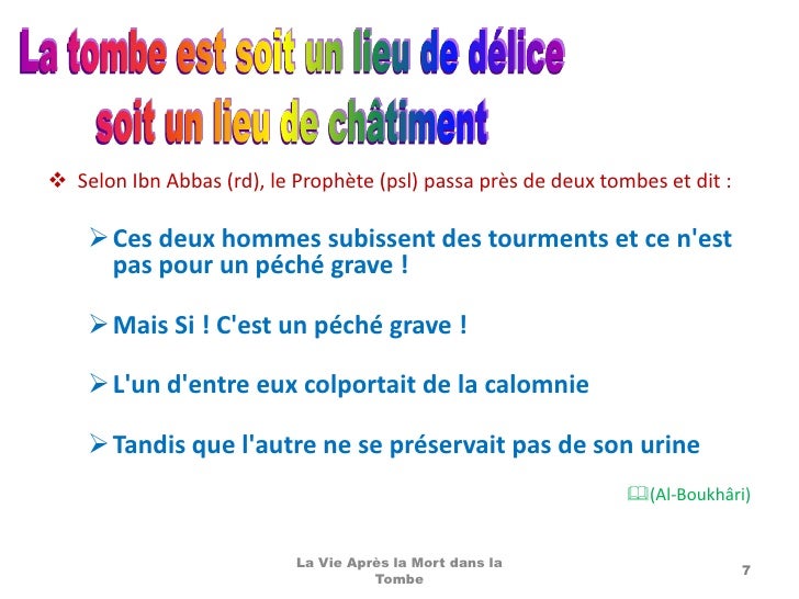 17 La Vie Apres La Mort La Tombe 17 La Vie Apres La Mort La Tombe
