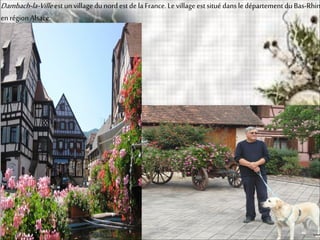 Dambach-la-Villeest un village du nord est de la France. Le village est situé dans le département du Bas-Rhin
en région Alsace.
 