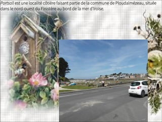 Portsall est une localité côtière faisant partie de la commune de Ploudalmézeau, située
dans le nord-ouest du Finistère au bord de la mer d'Iroise.
 
