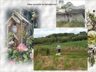 Allee couverte de kerbalannec
 