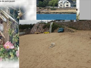 ge de pors guyon
 