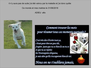 il n’y aura pas de suite j’ai été vaincu par la maladie et j’ai donc quitte
Ce monde et mes maitres le 31/08/2018
ADIEU alto
 