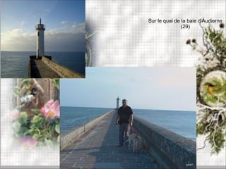 Sur le quai de la baie d’Audierne
(29)
 