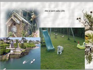 Alto a saint pabu (29)
 