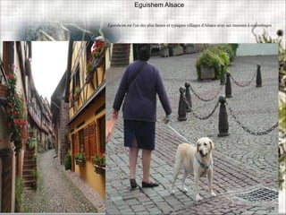 Eguishem Alsace
Eguisheim est l'un des plus beaux et typiques villages d'Alsace avec ses maisons à colombages
 
