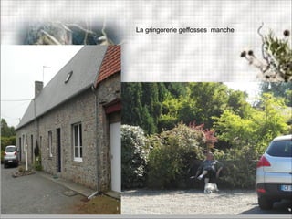 La gringorerie geffosses manche
 