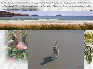 La baie des Trépassés est enserrée entre la pointe du Raz et la pointe du Van et se trouve sur les communes
de Plogoff et de Cléden-Cap-Sizun (territoire du Cap Sizun). Son rivage forme une longue plage de sable
reliant les deux pointes.
 