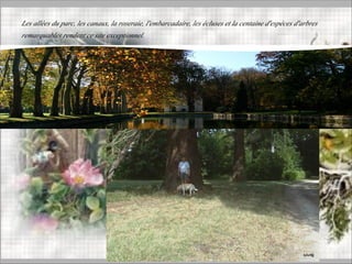 Les allées du parc, les canaux, la roseraie, l'embarcadaire, les écluses et la centaine d'espèces d'arbres
remarquables rendent ce site exceptionnel.
 