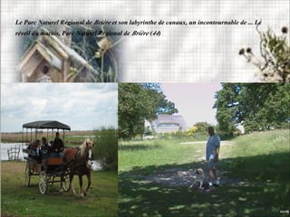 Le Parc Naturel Régional de Brière et son labyrinthe de canaux, un incontournable de ... Le
réveil du marais, Parc Naturel Régional de Brière (44)
 