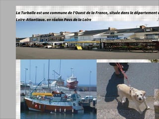 La Turballe est une commune de l'Ouest de la France, située dans le département d
Loire-Atlantique, en région Pays de la Loire
 