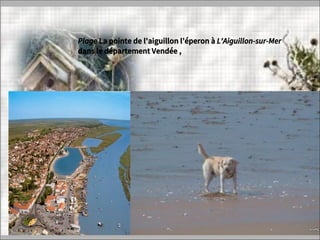 Plage La pointe de l'aiguillon l’éperon à L'Aiguillon-sur-Mer
dans le département Vendée ,
 