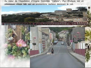 Au coeur de l'Appellation d'Origine Contrôlée "Cahors", Puy-l'Evêque, est un
pittoresque village bâti sur un promontoire rocheux dominant le Lot.
 