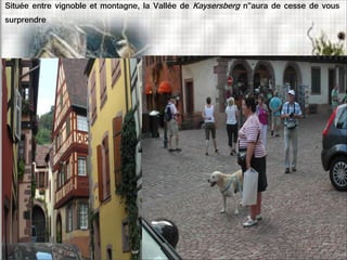 Située entre vignoble et montagne, la Vallée de Kaysersberg n''aura de cesse de vous
surprendre
 