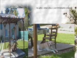 Au gîte « chez Lilou » a st Christophe (vienne)
 