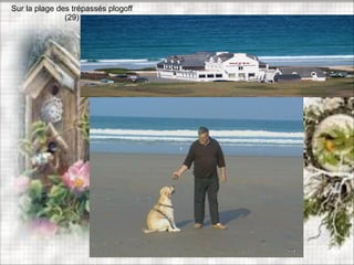Sur la plage des trépassés plogoff
(29)
 