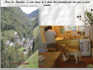 l’
Dans les Pyrénées a cette heure la il faut être attentif;peut être que ça peut
tomber
 