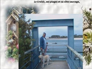 Le Croisic, ses plages et sa côte sauvage,
 