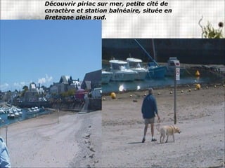 Découvrir piriac sur mer, petite cité de
caractère et station balnéaire, située en
Bretagne plein sud.
 