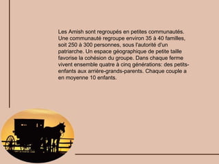 Les Amish sont regroupés en petites communautés. Une communauté regroupe environ 35 à 40 familles, soit 250 à 300 personnes, sous l'autorité d'un patriarche. Un espace géographique de petite taille favorise la cohésion du groupe. Dans chaque ferme vivent ensemble quatre à cinq générations: des petits-enfants aux arrière-grands-parents. Chaque couple a en moyenne 10 enfants. 