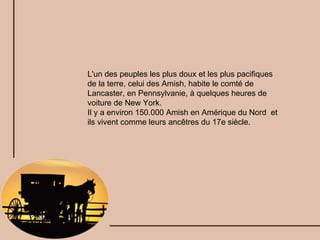 L'un des peuples les plus doux et les plus pacifiques de la terre, celui des Amish, habite le comté de Lancaster, en Pennsylvanie, à quelques heures de voiture de New York. Il y a environ 150.000 Amish en Amérique du Nord  et ils vivent comme leurs ancêtres du 17e siècle. 
