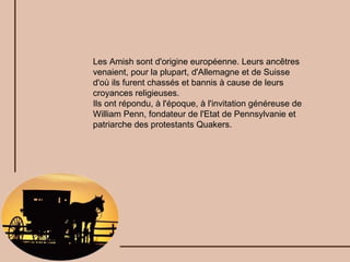 Les Amish sont d'origine européenne. Leurs ancêtres venaient, pour la plupart, d'Allemagne et de Suisse d'où ils furent chassés et bannis à cause de leurs croyances religieuses. Ils ont répondu, à l'époque, à l'invitation généreuse de William Penn, fondateur de l'Etat de Pennsylvanie et patriarche des protestants Quakers. 