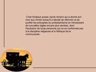 C'est l'évêque suisse Jacob Amann qui a donné son nom aux Amish lorsqu'il a décidé de réformer et de purifier les préceptes du protestantisme en introduisant de nouvelles règles encore plus sévères, dont l'exclusion de toute personne qui ne se conformait pas à la discipline religieuse et à l'éthique de la communauté. 