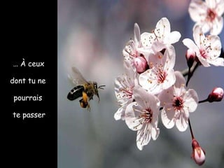 …   À ceux  dont tu ne  pourrais  te passer 