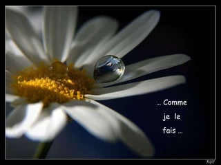 …  Comme  je  le  fais  … 