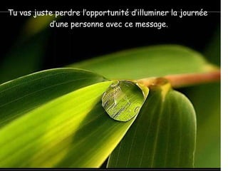 Tu vas juste perdre l’opportunité d’illuminer la journée  d’une personne avec ce message. 
