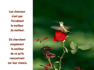 Les chanceux  n’ont pas  forcément le meilleur  du meilleur. Ils cherchent  simplement  le meilleur de ce qu’ils  rencontrent  sur leur chemin. 