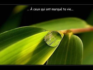 … À ceux qui ont marqué ta vie...
 