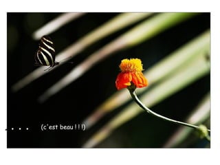 . . . . .. . . . (c'est beau ! ! !)
 