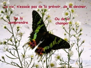 La vie, n’essaie pas de la prévoir, de la deviner, De la comprendre Ou de la changer 